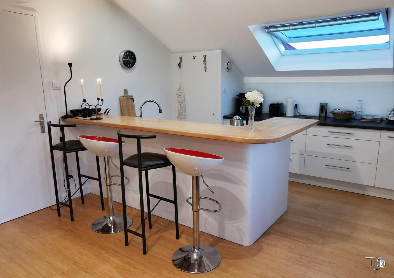 "Le Loft B Bg " Appartement Avec Terrasse G Friendly 스트라스부르 외부 사진